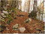 Stara Fužina - Planina Jezerce